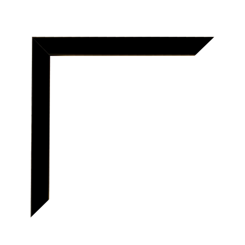 Black 2cm Flat Frame
