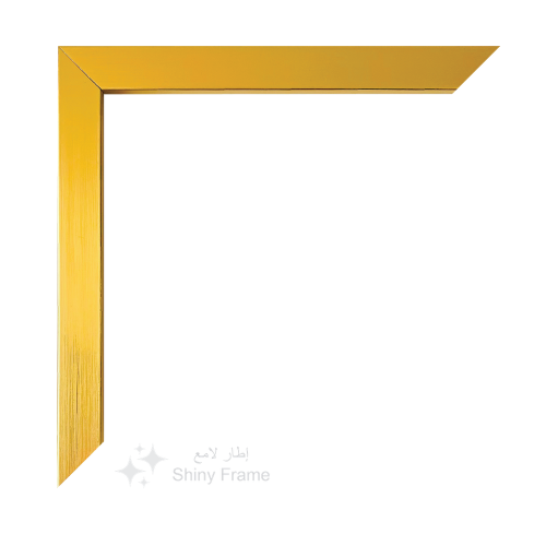 Brushed Gold Frame