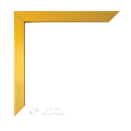 Brushed Gold Frame