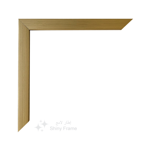 Brushed Light Gold Frame