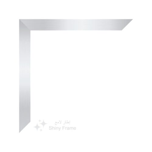 Brushed Silver Frame