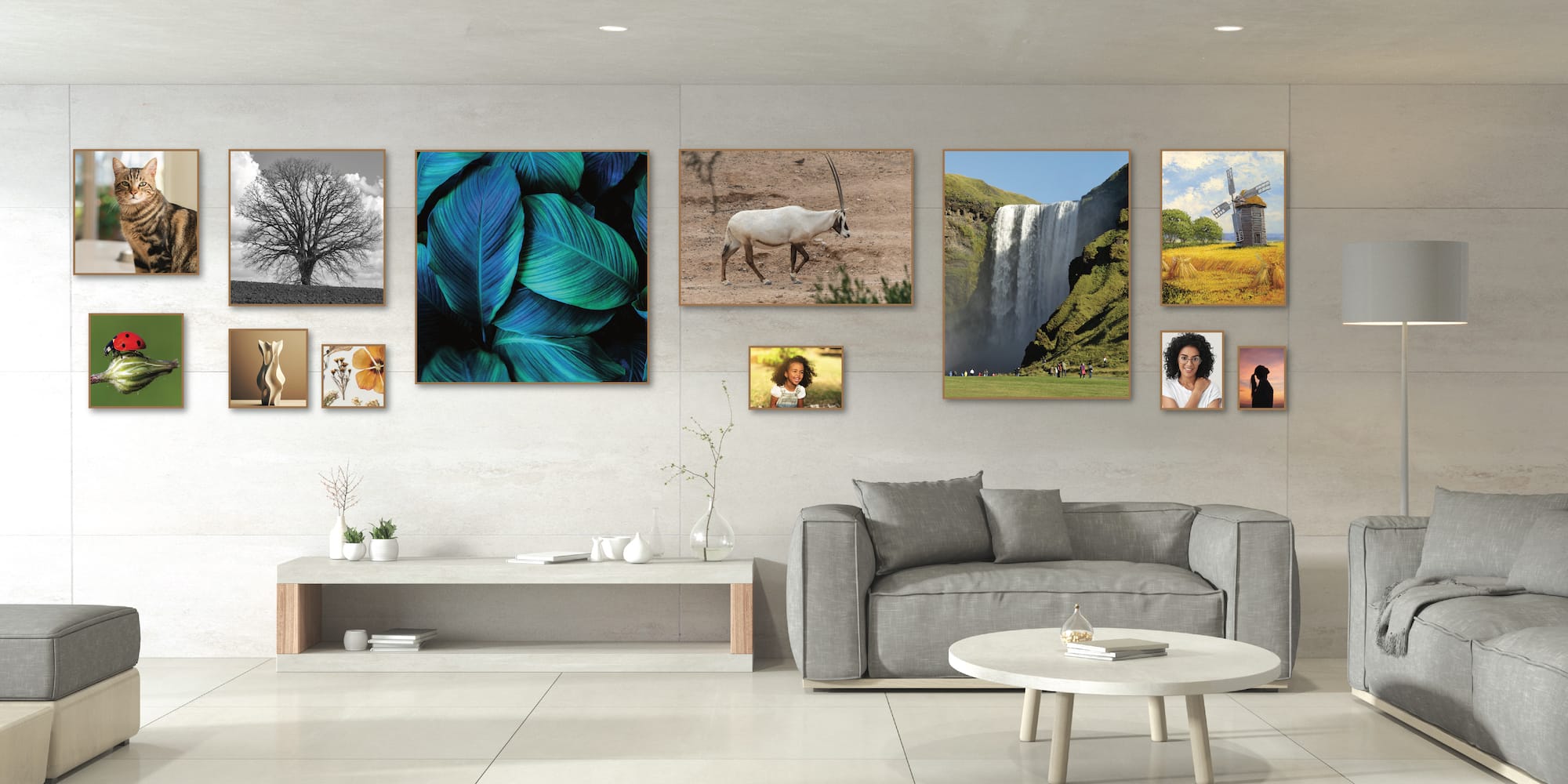 Canvas sizes