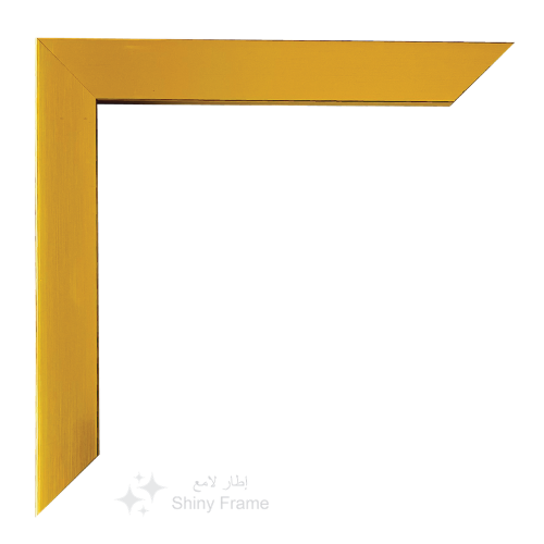 Regal Gold Frame