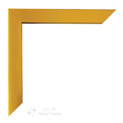 Regal Gold Frame