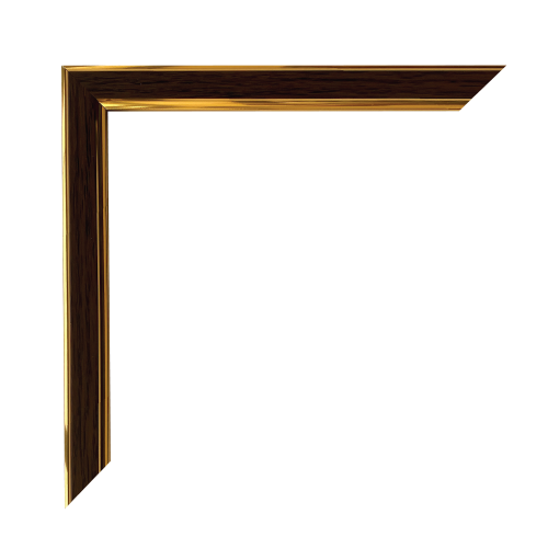Golden Amber Frame